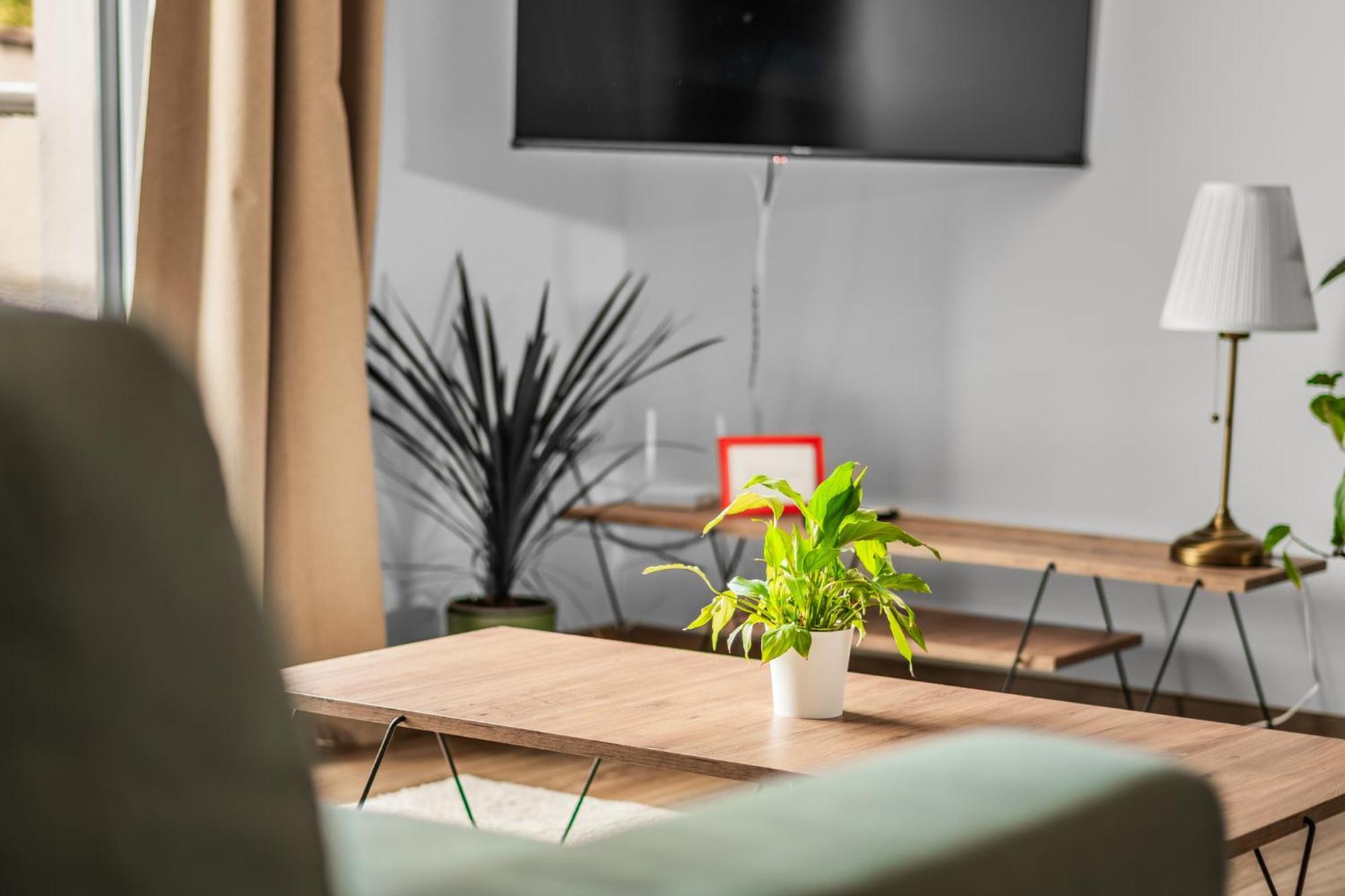 Apartman Anna Nové Město nad Metují Exteriér fotografie